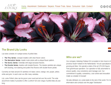 Tablet Screenshot of lilylooks.com